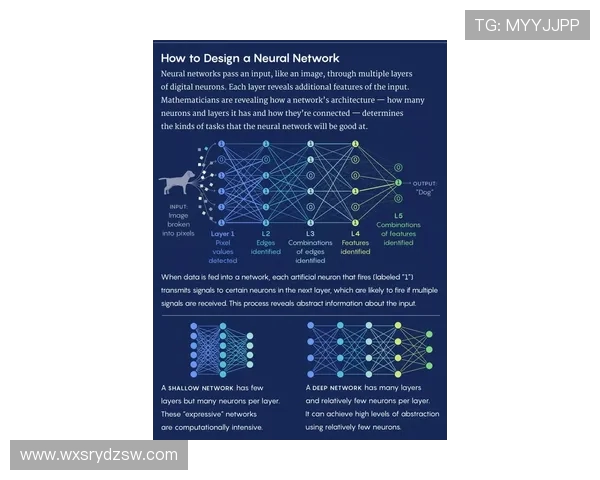 全面探索跳水运动魅力与世界顶尖冠军成长之路的全景深度解析报告 全面探索跳水运动魅力与世界顶尖冠军成长之路的全景深度解析报告