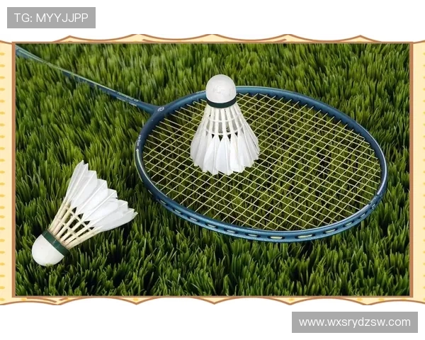 武汉羽毛球队防反战术解析及其在比赛中的应用与影响